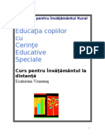 Modulul Ed. Copiilor Cu CES