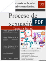 Proceso de Sexuación.: Temas A Tratar