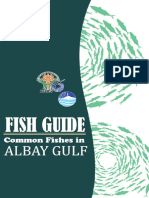 Albay Gulf Fish Guide - Nfrdi