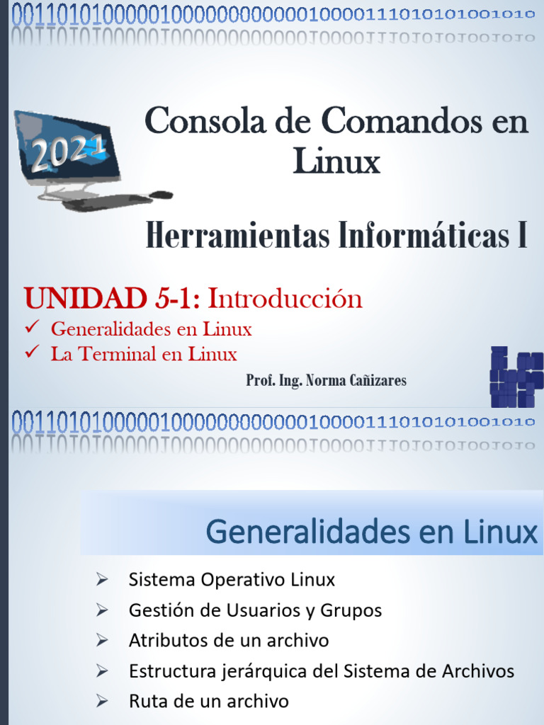 UNIDAD 5-1 Consola de Comandos Linux Introduccion | PDF | Interfaz de ...