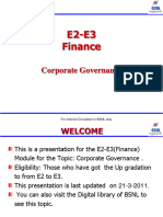 E2-E3-Finance Corporate Governance