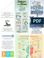 Triptico Desarrollo