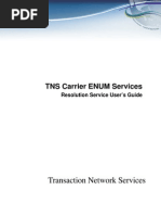 Download Carrier ENUM Resolution User Guide by Paul Chitescu SN69141761 doc pdf