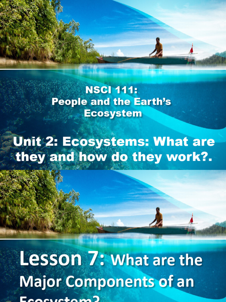 Components of Ecosystems Explained | PDF | Ecosystem | Natural Environment