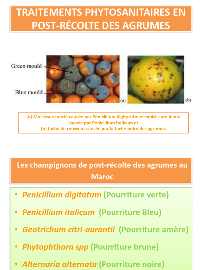 Traitements postrécolte des agrumes PDF Fongicide Spécialités — free download