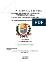 Estructura de Trabajo Colaborativo Eo PNP