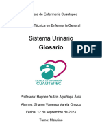 Glosario Sistema Urinario