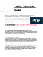 Ireland's Limited Companies_ Pros and Cons