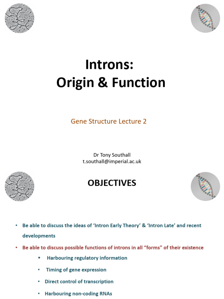 Understanding Gene Introns and Functions | PDF | Messenger Rna | Intron
