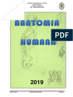 001 Anatomia