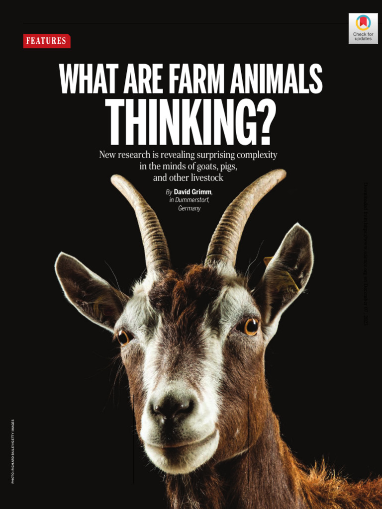 What Are Farm Animals Give Some Examples