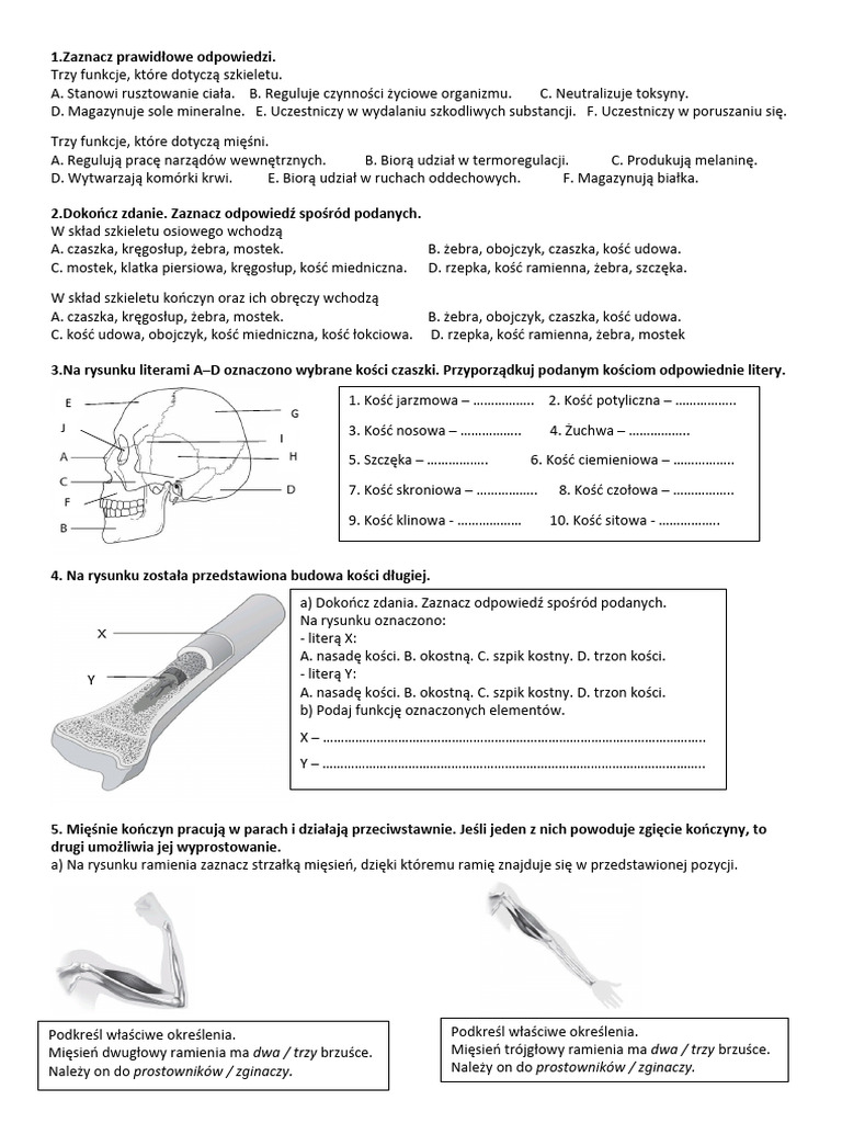 Sprawdzian Biologia Klasa 7 Aparat Ruchu test rozdz.2 - aparat ruchu | PDF
