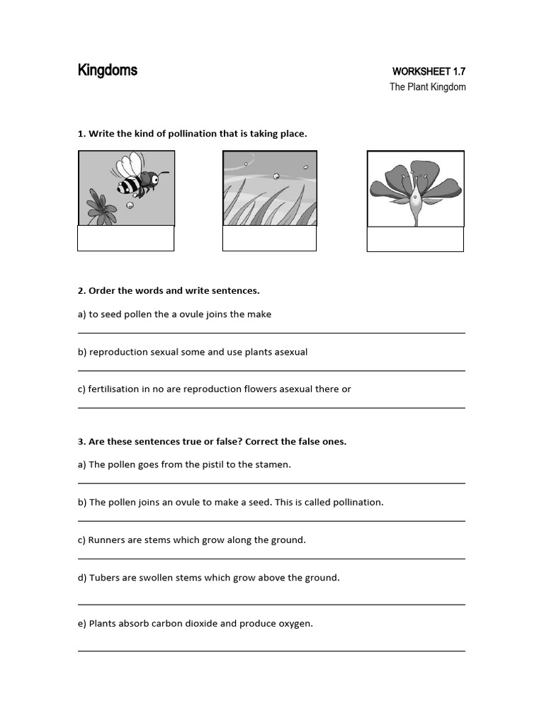 ns4 m1 U01 Worksheet 17 | PDF | Flowers | Pollination