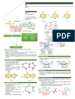 Biochem Nucleic Acids