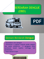 PENYULUHAN Demam Berdarah Dengue (DBD)