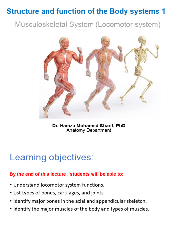 4-Structure and Function of The Body Systems 1 | PDF | Human ...