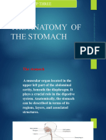 The Anatomy of The Stomach