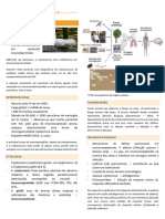 Criptococose Brait PDF