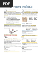 Escala IMS Fisioterapia | PDF