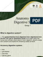 ReportAnatomy of Digestive System 3