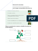 Examen Naturales