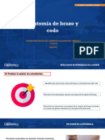 ANATOMIA Sesión 2 - 2023 - 1