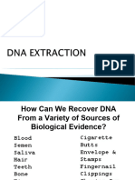 Week 13 DNA Extraction
