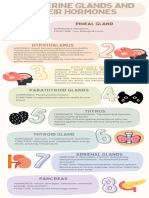 Infographics of Endocrine System