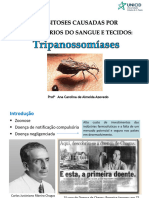 Aula 1 - Tripanosoma Cruzi