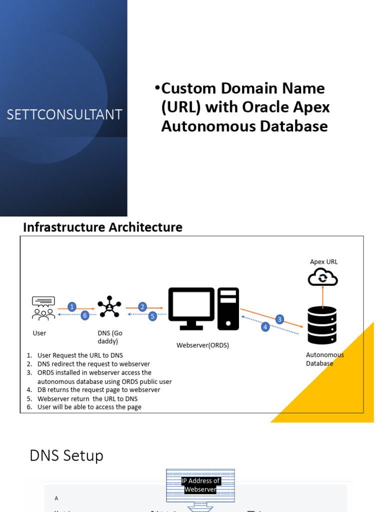 DNS Autonomous Apex Setup PDF Networking & 