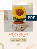 Girasol en Maceta - Teji2sindi