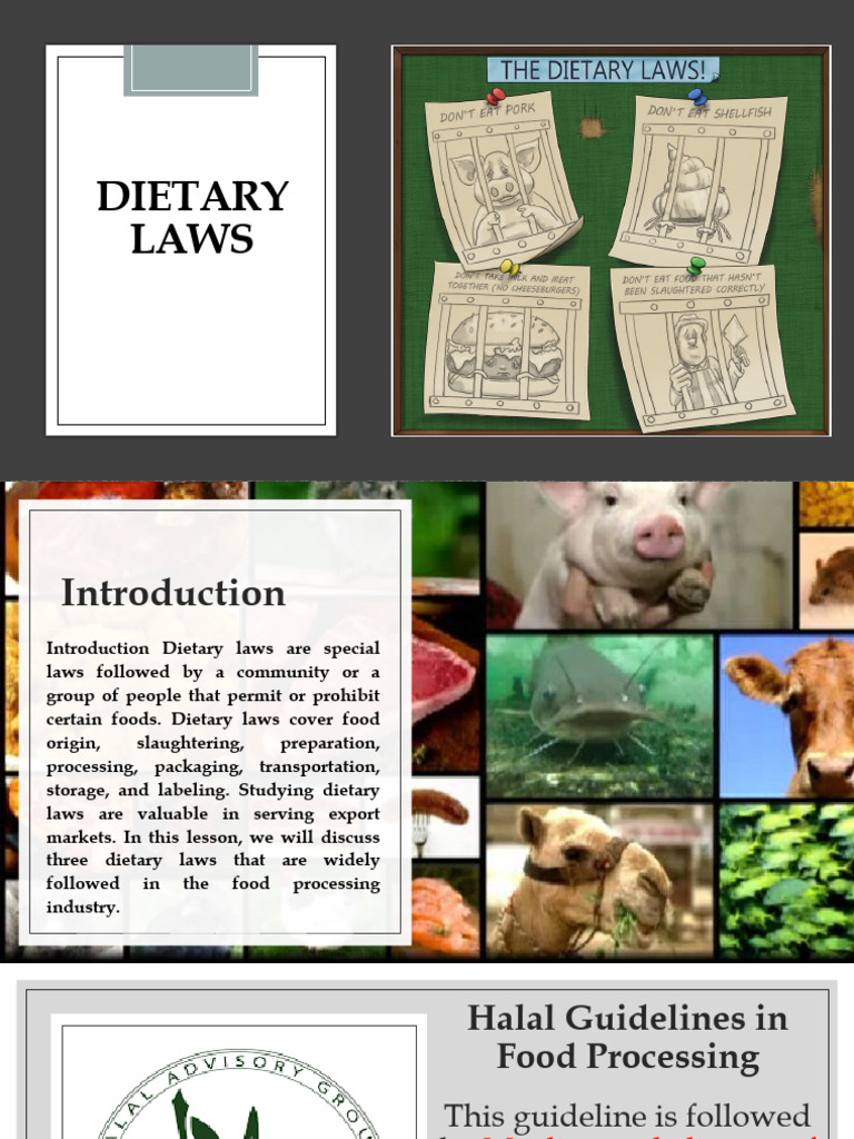 Food Processing Lesson 4 PDF