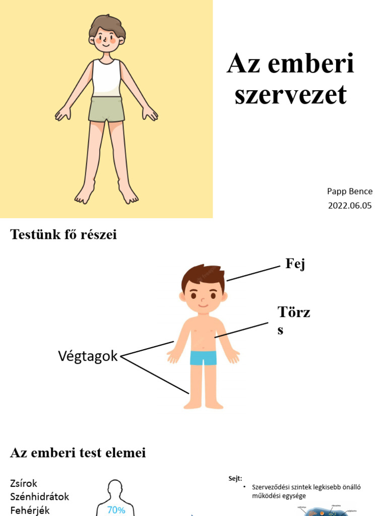 Az Emberi Szervezet | PDF