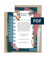 Documentos Practica V Final