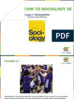 IntroductiontoSociology2e Ch05