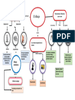 Mapa Conceptual Erbey Serrano