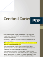 Cerebral Cortex (1) (Autosaved)
