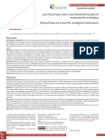 Microrrizas Como Herramienta para La Restauración Ecológica
