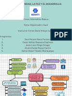 Organizador Visual Del Grupo 3 - SENATi
