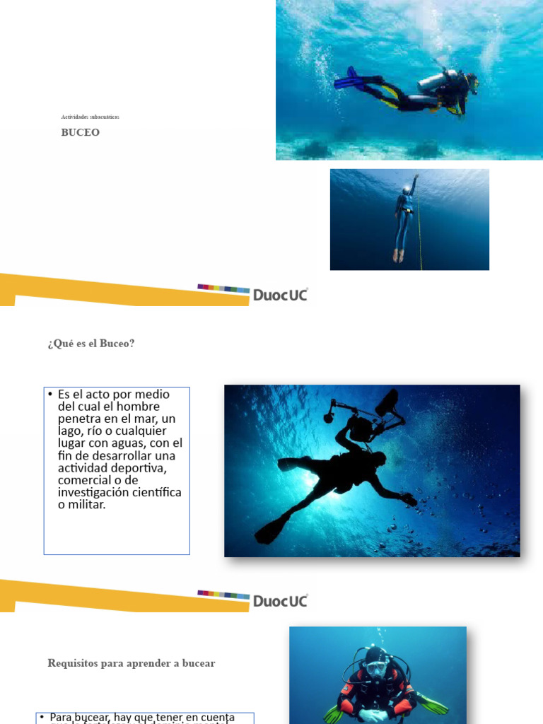 4_3_1_PPT_Tipos_de_buceo | PDF | Buceo bajo el agua | Nadando