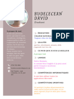 Budelecean David: Étudiant