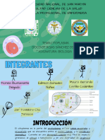 Biologia Citoplasma