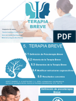 Exposición TERAPIA BREVE-FINAL