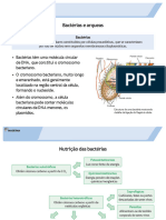 Bacterias e Arqueas