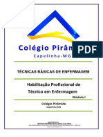 Apostila Técnicas Básicas - Colegio Piramide 1º Modulo