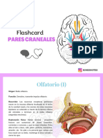 Flashcard Pares Craneales-1