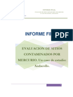 2010-Informe - Final - Hg-Andacollo