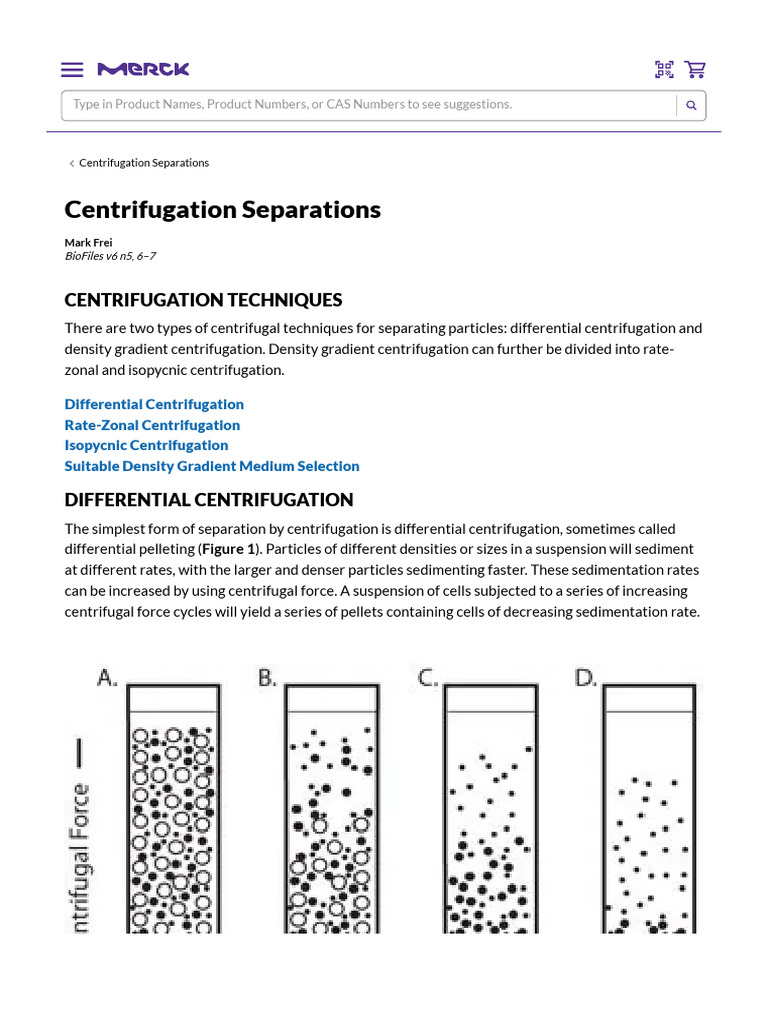 Centrifugation Separations PDF Centrifugation Analytical Chemistry