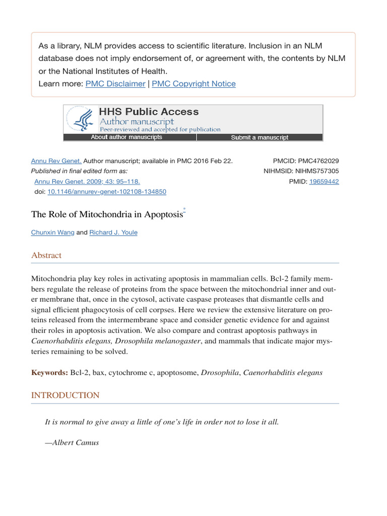 The Role of Mitochondria in Apoptosis - PMC | PDF | Apoptosis ...