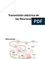 Presentacion 2 - Transmision Electrica Neuronas